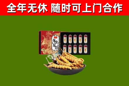 闸北区回收冬虫夏草价格