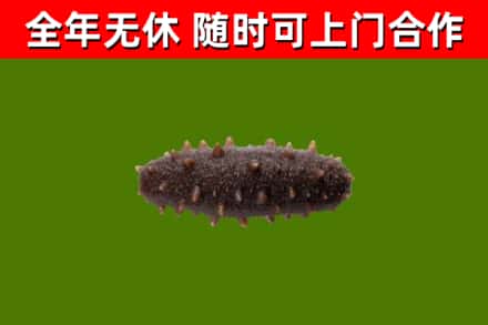 闸北区烟酒回收干海参.jpg